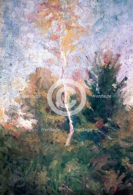 'The Birch', c1889-1943. Artist: Rihard Jakopic