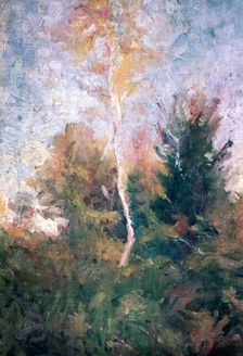 The Birch c1889-1943. Artist: Rihard Jakopic