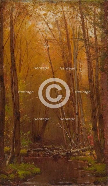 The Birches of the Catskills, ca. 1875. Creator: Worthington Whittredge.