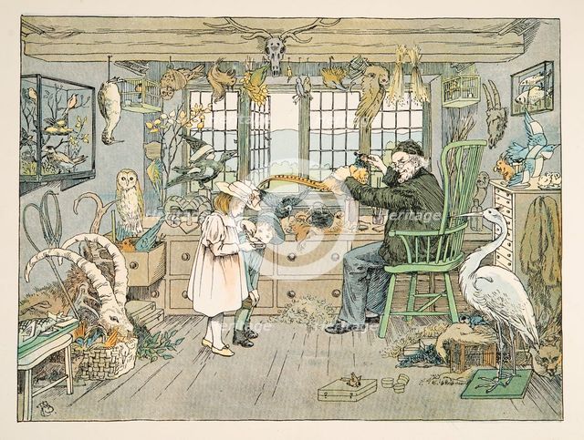 The Bird Stuffer,  from Four and Twenty Toilers, pub. 1900 (colour lithograph)