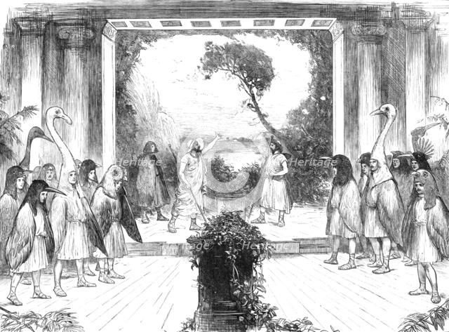 "The Birds" of Aristophanes, played at Cambridge University, 1883. Creator: Unknown.