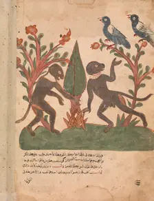 The Birds and the Monkeys with the Glow Worm, Folio from a Kalila wa Dimna, 18th century. Creator: Unknown