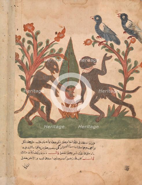 The Birds and the Monkeys with the Glow Worm, Folio from a Kalila wa Dimna, 18th century. Creator: Unknown.