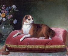 The Bitch on a Cushion c1694-1735. Artist: Jean Ranc