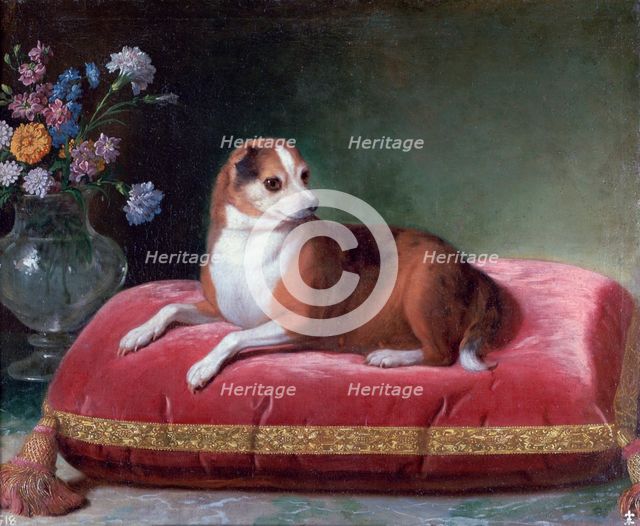 'The Bitch on a Cushion', c1694-1735. Artist: Jean Ranc