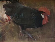 The Black Cock c1894. Artist: Joseph Crawhall