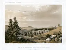 The Black Forest Mount Hope and Sierra Prieta, USA, 1856.Artist: E Stout