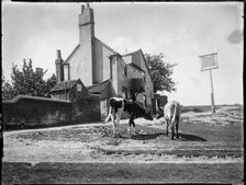 The Black Horse, Chorleywood Common, Chorleywood, Three Rivers, Hertfordshire, 1915. Creator: Katherine Jean Macfee