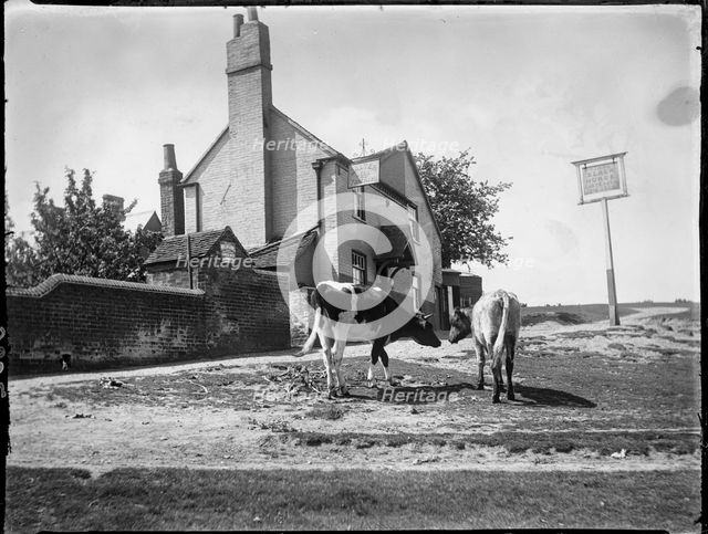 The Black Horse, Chorleywood Common, Chorleywood, Three Rivers, Hertfordshire, 1915. Creator: Katherine Jean Macfee.