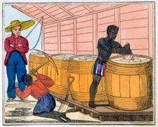 The Blackman's Lament on how to make Sugar 1813. Artist: Amelia Alderson Opie