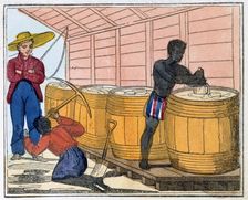 The Blackman's Lament on how to make Sugar 1813. Artist: Amelia Alderson Opie