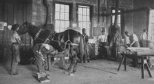 The blacksmith shop, 1904. Creator: Frances Benjamin Johnston