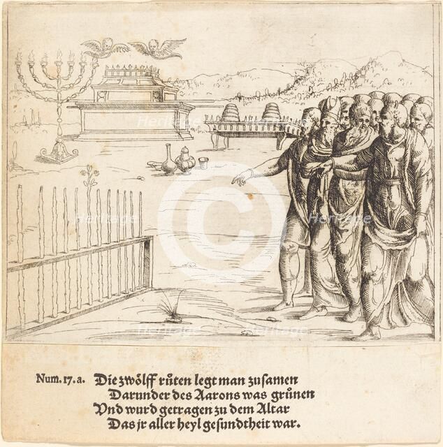 The Blossoming of Aaron's Rod. Creator: Augustin Hirschvogel.