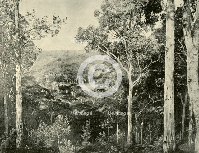 'The Blue Mountains', 1901. Creator: Unknown.