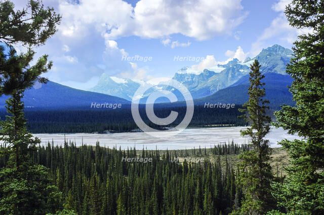The Blues and The Greens. Creator: Robert Manno.
