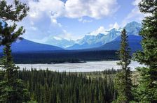 The Blues and The Greens. Creator: Robert Manno