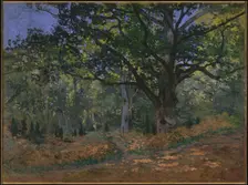 The Bodmer Oak, Fontainebleau Forest, 1865. Artist: Monet, Claude (1840-1926)