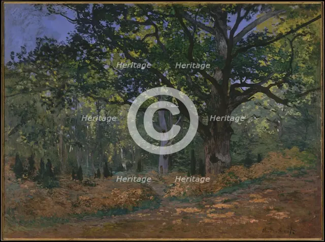 The Bodmer Oak, Fontainebleau Forest, 1865. Artist: Monet, Claude (1840-1926)