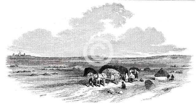 The Bog of Allen, from the Canal Side, 1850. Creator: Smyth.