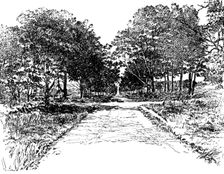 The Boswell Centenary: The Avenue, Auchinleck, 1895. Creator: Unknown