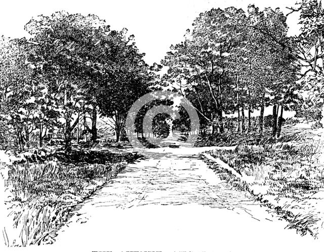 The Boswell Centenary: The Avenue, Auchinleck, 1895. Creator: Unknown.