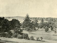 The Botanical Gardens of Sydney 1901. Creator: Unknown