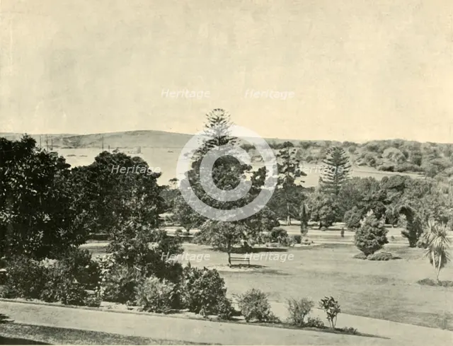'The Botanical Gardens of Sydney', 1901. Creator: Unknown.