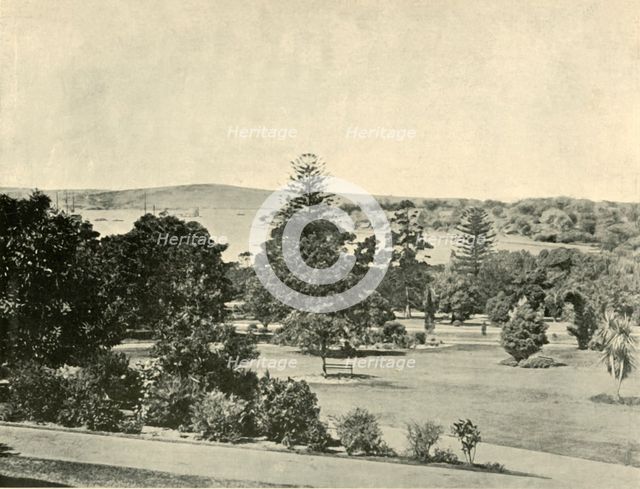 'The Botanical Gardens of Sydney', 1901. Creator: Unknown.