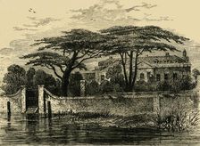 The Botanical Gardens, Chelsea, 1790 (c1876). Creator: Unknown