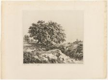 The Bouquet of Trees, or The Lindens (Souvenir of the Sarthe), 1861. Creator: Eugene Blery