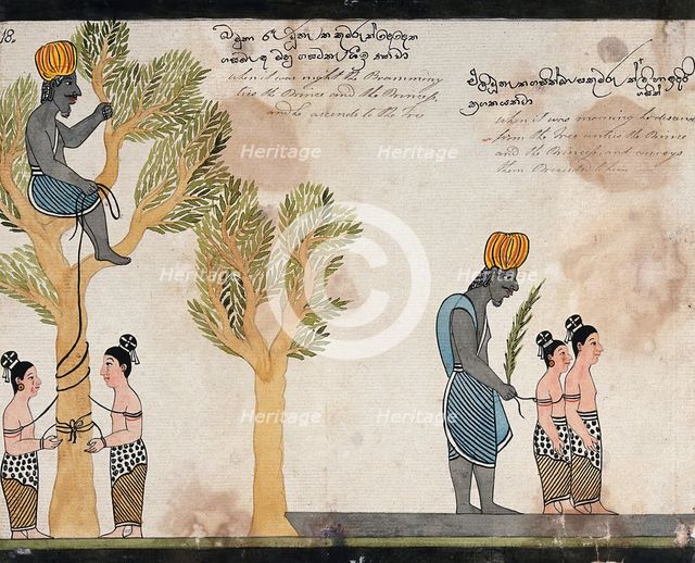 The brahmin, sitting in a tree, keeps the children of Vessantara tied up all night, and in..., 1815. Creator: Unknown.