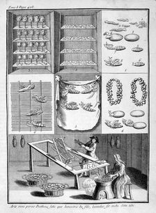 The breeding of silk worms, 1775