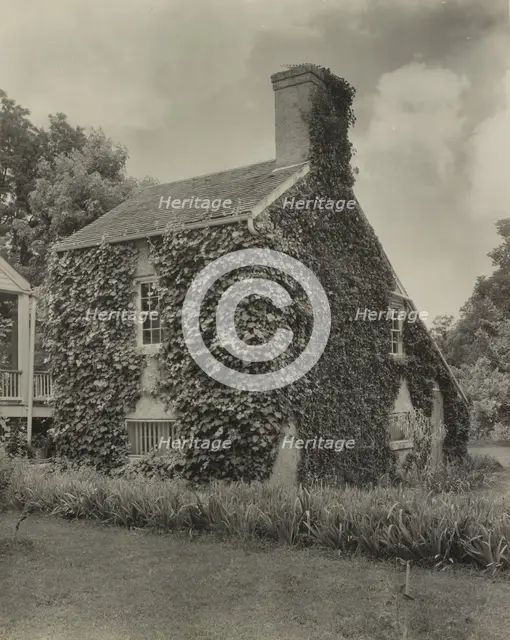 The Briars, Natchez vic., Adams County, Mississippi, 1938. Creator: Frances Benjamin Johnston.