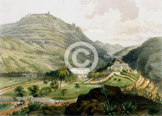 The Briars, St Helena, early 19th century (1851). Artist: Unknown