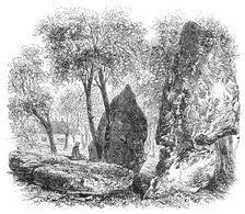 The British Association at Bath: Druidical stones in an orchard at Stanton Drew, 1864. Creator: Unknown