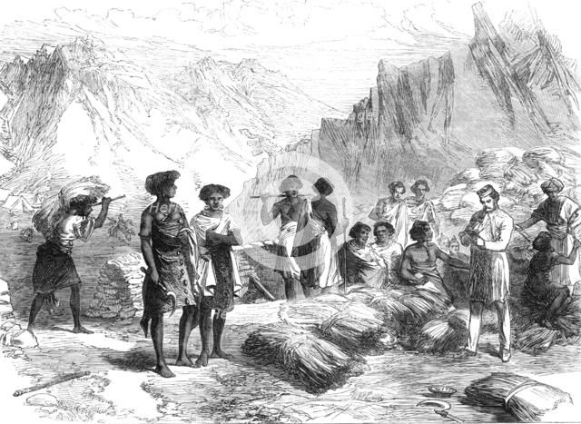 The British Expedition to Abyssinia: Shohos bringing in grass to the Commissariat, Undel Wells, 1868 Creator: Unknown.