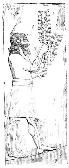 The British Museum - Nineveh Sculptures: Locust-bearer, 1857. Creator: Unknown