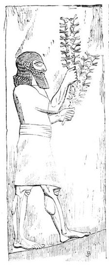 The British Museum - Nineveh Sculptures: Locust-bearer, 1857. Creator: Unknown