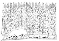 The British Museum - Nineveh Sculptures: Sow and Pigs in the Wadi L'Kasab...1857. Creator: Unknown