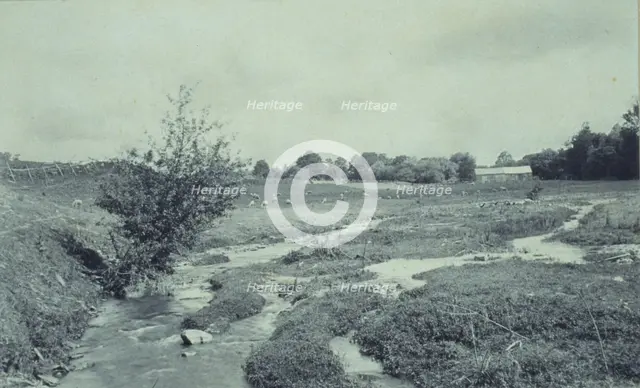 The brook, 1895. Creator: Wallace C. Babcock.