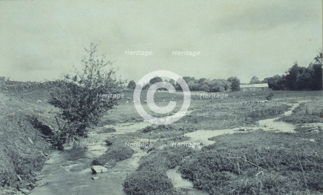 The brook, 1895. Creator: Wallace C. Babcock.