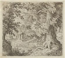 The Brook in the Wood, 17th century. Creator: Allart van Everdingen