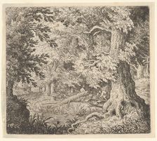 The Brook in the Wood, 17th century. Creator: Allart van Everdingen