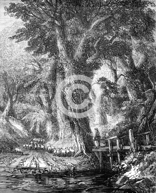 "The Brook" - painted by George Chester - from the Exhibition of the National Institution, 1856.  Creator: Mason Jackson.
