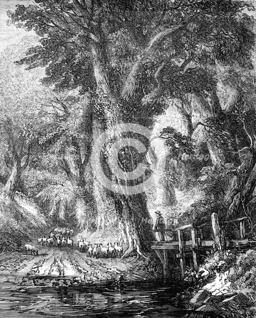 "The Brook" - painted by George Chester - from the Exhibition of the National Institution, 1856.  Creator: Mason Jackson.