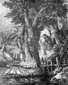 "The Brook" - painted by George Chester - from the Exhibition of the National Institution, 1856. Creator: Mason Jackson