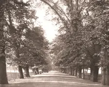 The Broad Walk, Oxford, 1894. Creator: Unknown