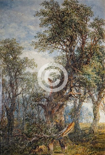The Broken Bough, 1881. Creator: Frederick Henry Henshaw.