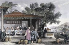 The Culture and Preparation of Tea China, 1843. Artist: Thomas Allom