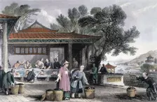 The Culture and Preparation of Tea China, 1843. Creator: Thomas Allom